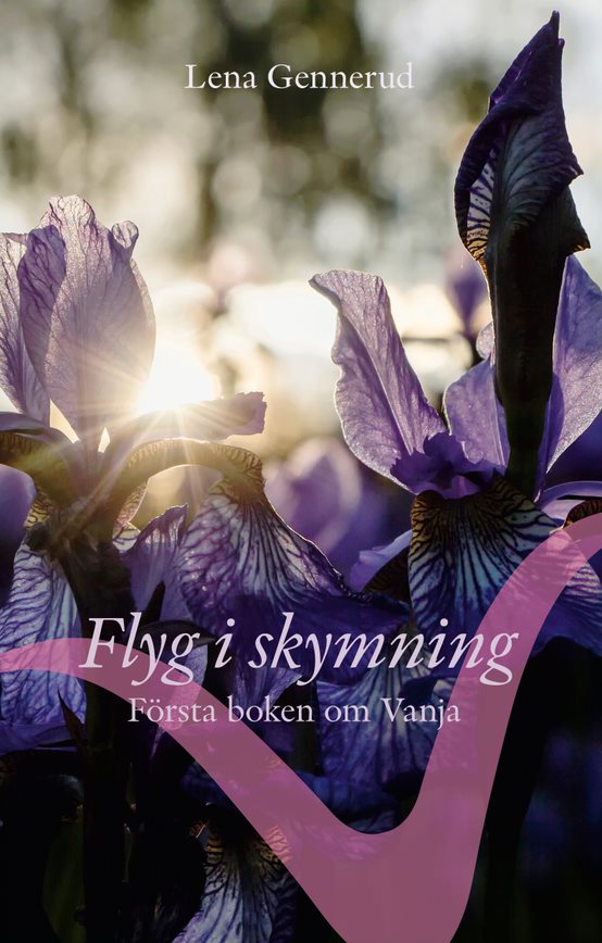 Flyg i skymning - ny roman feelgood-drama